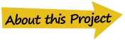 About this Project